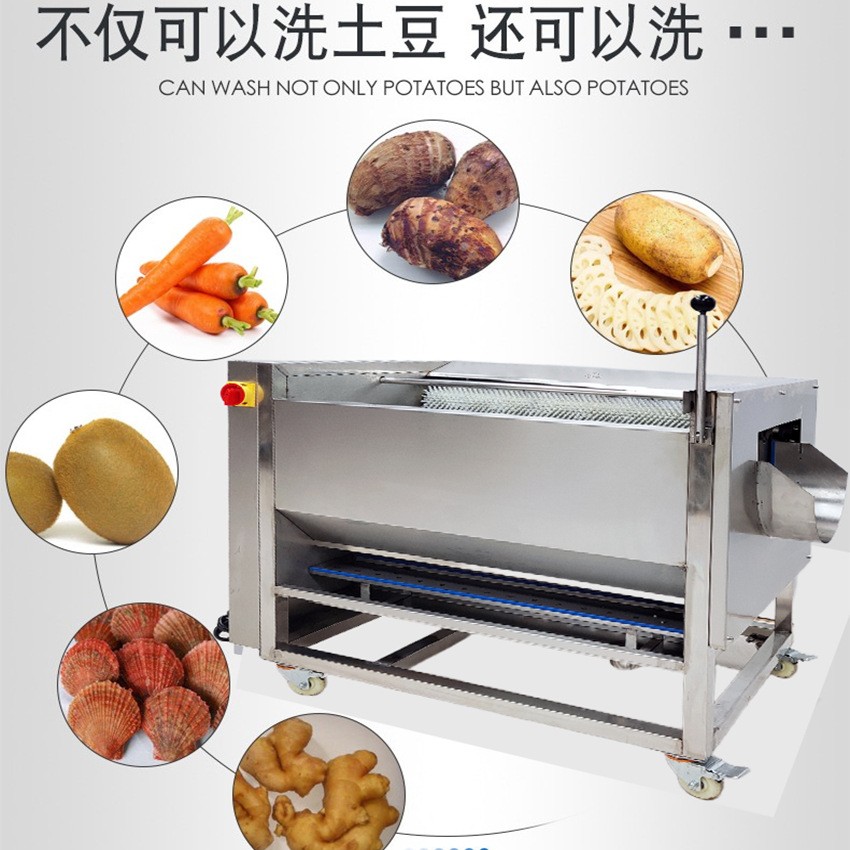 猎鹰毛刷脱皮清洗机土豆全自动姜芋头莲藕萝卜生蚝猪蹄毛棍去皮机图4