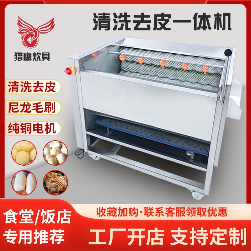猎鹰毛刷脱皮清洗机土豆全自动姜芋头莲藕萝卜生蚝猪蹄毛棍去皮机图3