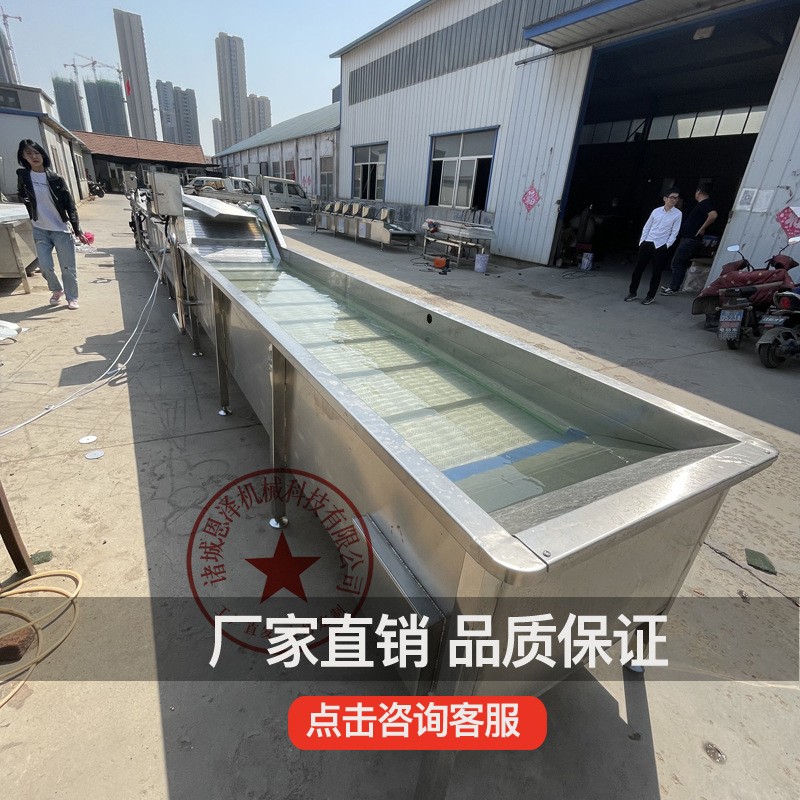 厂家批发喷淋清洗机 洗菜机商用 蔬菜气泡清洗生产线果蔬漂烫机图2