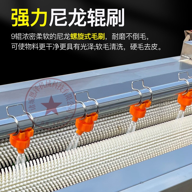 海蛎子毛辊清洗机 不锈钢毛辊清洗机 批发海鲜中药材果蔬清洗机图3
