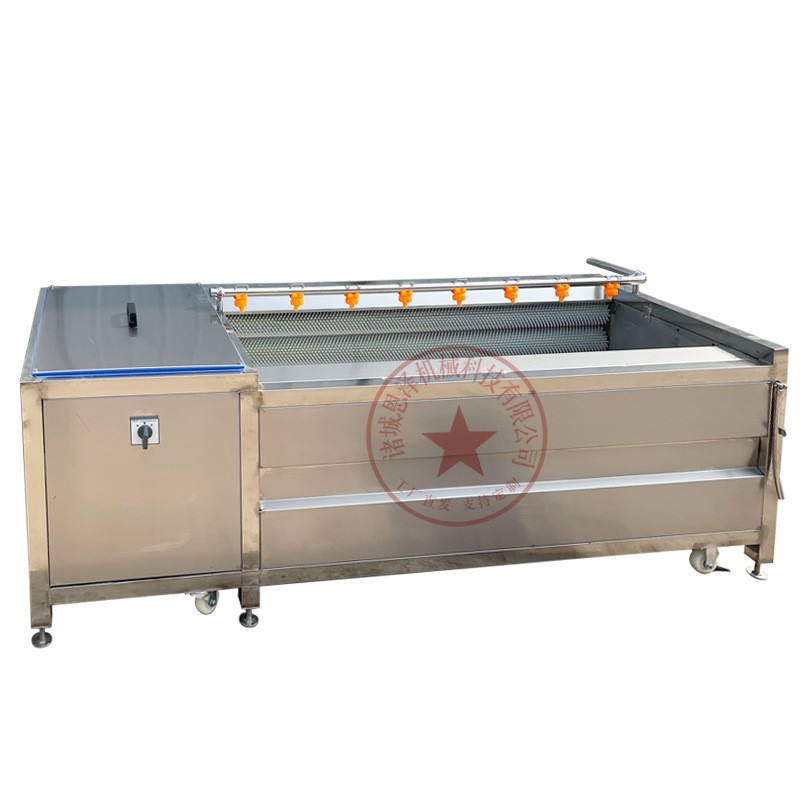 海蛎子毛辊清洗机 不锈钢毛辊清洗机 批发海鲜中药材果蔬清洗机图5