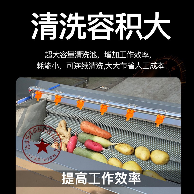 海蛎子毛辊清洗机 不锈钢毛辊清洗机 批发海鲜中药材果蔬清洗机图4