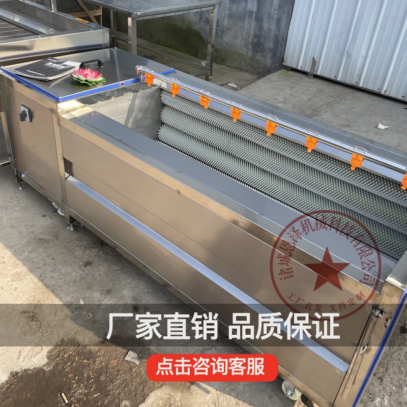 海蛎子毛辊清洗机 不锈钢毛辊清洗机 批发海鲜中药材果蔬清洗机图2
