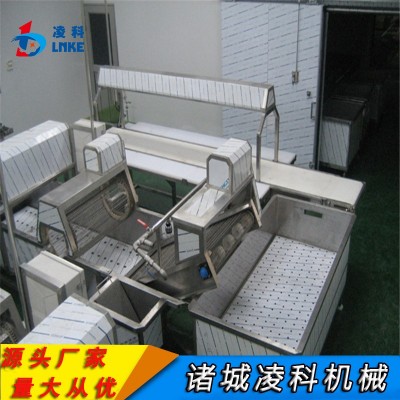 大型果蔬气泡清洗机商用酸菜全套加工设备全自动清洗加工流水线