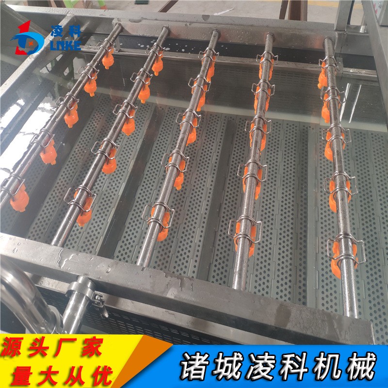 大姜气鼓喷淋清洗机 上海青气浴喷淋清洗机 塑料网带变频调速图3