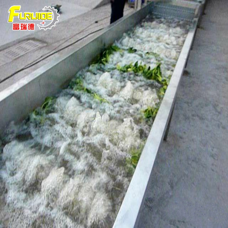 QX-1000型大葱清洗机 韭菜清洗去沙设备 全自动清洗杀菌图4