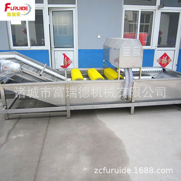 QX-1000型大葱清洗机 韭菜清洗去沙设备 全自动清洗杀菌图5