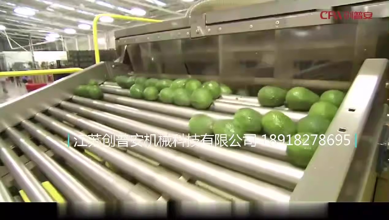 鳄梨牛油果泥果酱果油提取加工生产线设备机械