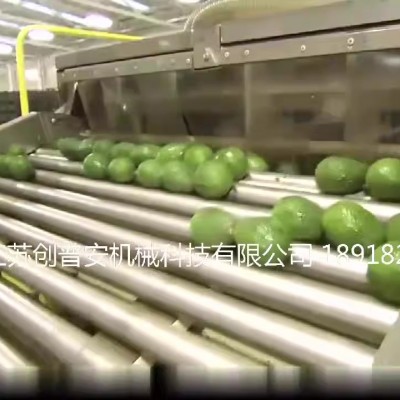 鳄梨牛油果泥果酱果油提取加工生产线设备机械