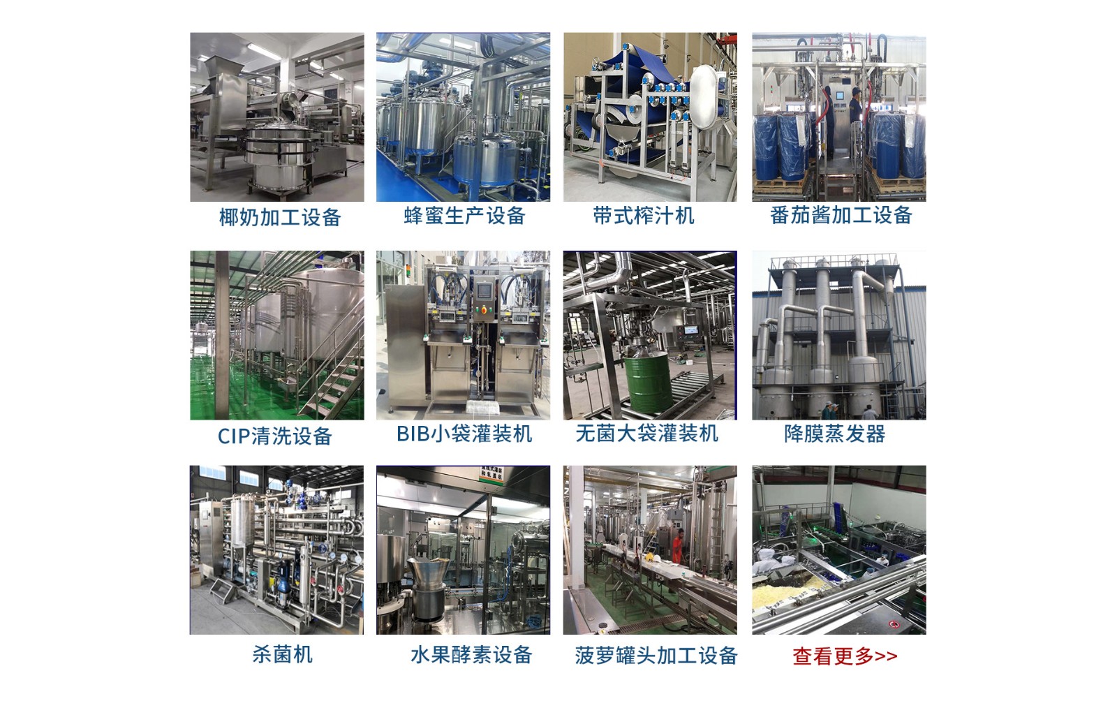 鳄梨牛油果泥果酱果油提取加工生产线设备机械图4