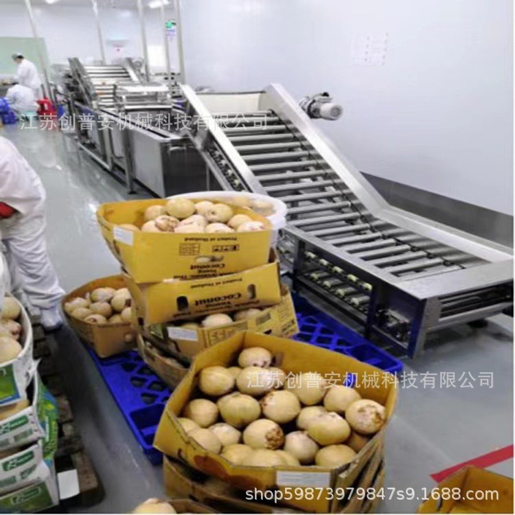 椰奶椰油椰子果汁加工机械设备生产线图5