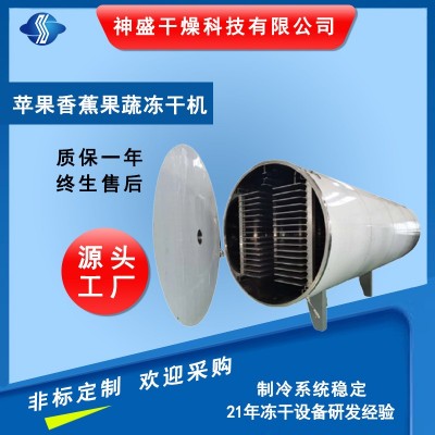 厂家供应苹果冻干机香蕉梨子冻干机 柠檬果蔬冻干机（5-250平方）