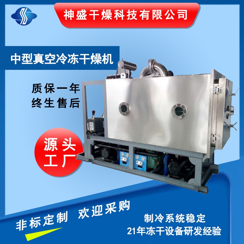 调味品方便食品冷冻干燥机 大型水果蔬菜低温冷冻干燥机厂家现货