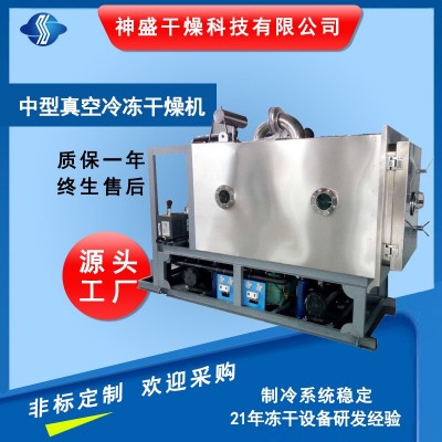 调味品方便食品冷冻干燥机 大型水果蔬菜低温冷冻干燥机厂家现货