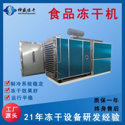 现货100平商用食品冻干机 果蔬低温冻干设备 宠物食品真空冻干机