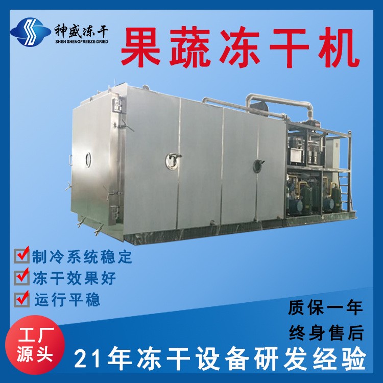 现货100平商用食品冻干机 果蔬低温冻干设备 宠物食品真空冻干机图2