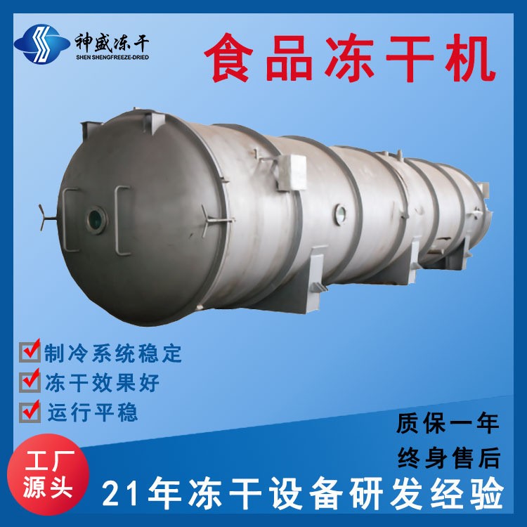 现货供应大型商用果蔬食品冻干机 5-250平海鲜肉类真空冷冻干燥机图2