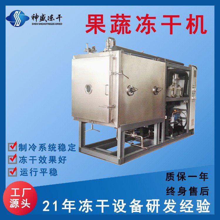 现货供应大型商用果蔬食品冻干机 5-250平海鲜肉类真空冷冻干燥机