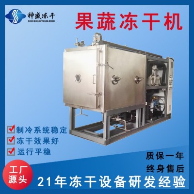 现货供应大型商用果蔬食品冻干机 5-250平海鲜肉类真空冷冻干燥机