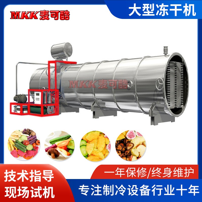 出租30平真空冻干机 蔬菜干食品类设备 FD低温冻干机线图3