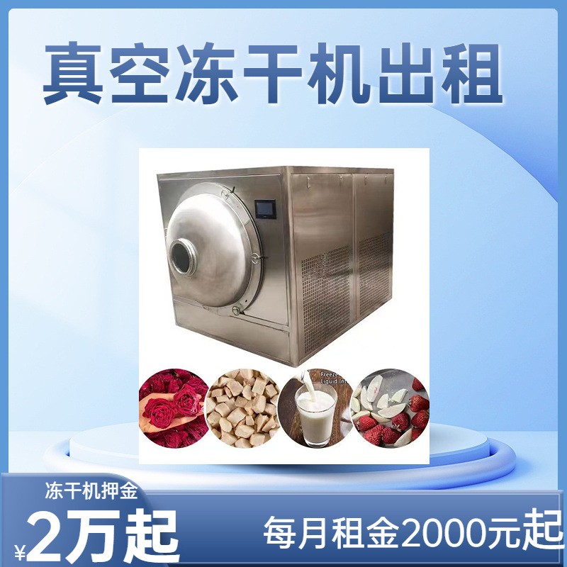 出租30平真空冻干机 蔬菜干食品类设备 FD低温冻干机线