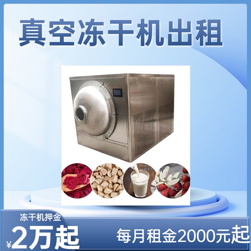 出租30平真空冻干机 蔬菜干食品类设备 FD低温冻干机线