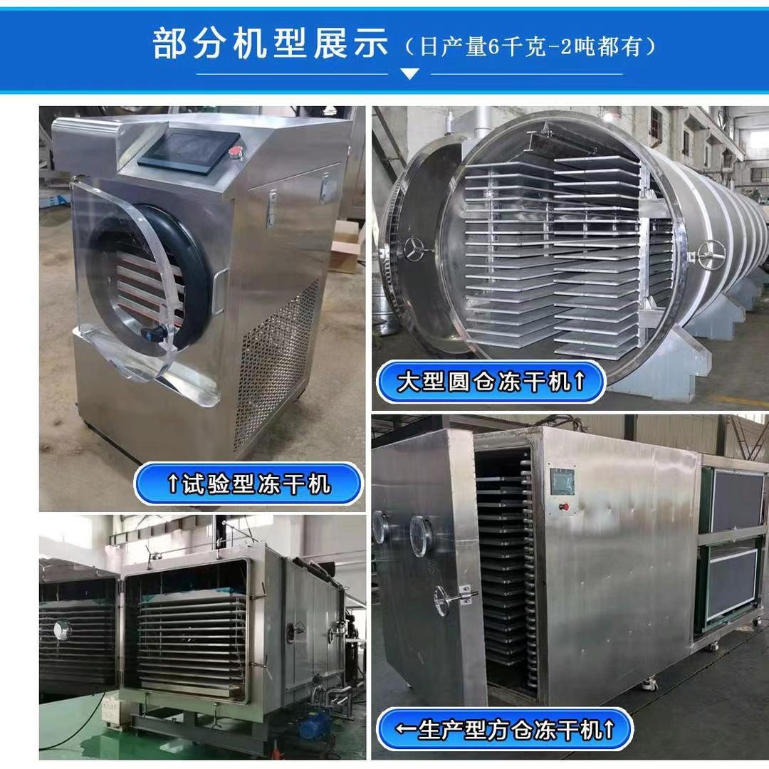 商用冻干机大中小型食品果蔬草药真空冻干设备低温式真空冷冻干燥