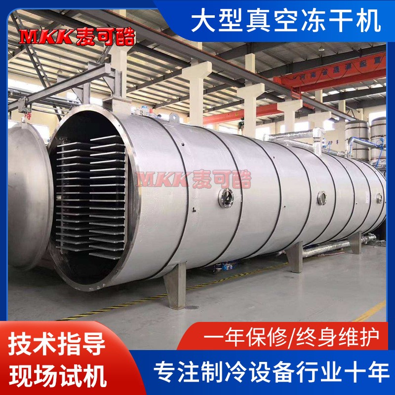 商用冻干机大中小型食品果蔬草药真空冻干设备低温式真空冷冻干燥图4