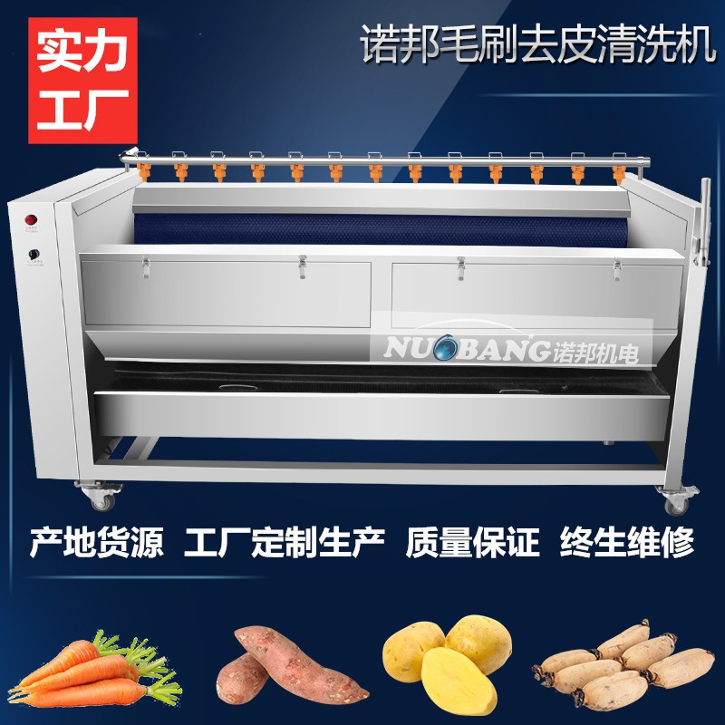 现货销售全自动花生芽脱皮机 商用花生芽洗皮机 毛刷式花生清洗机图3