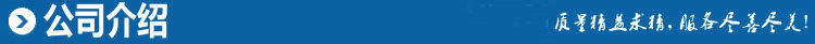 公司介绍