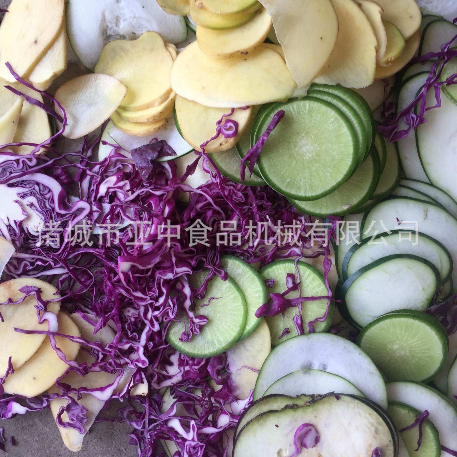 厂家供应下压式切片机 苹果香蕉胡萝卜山药片成形 果蔬切片设备图4