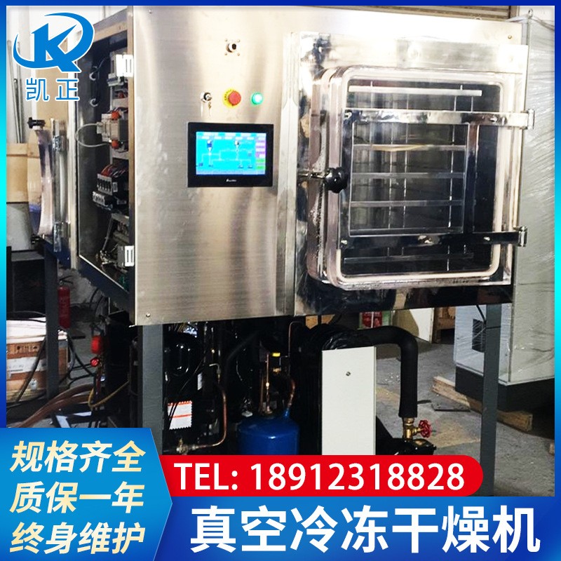 食品果蔬冻干机 自动水果片冷冻干燥机 低温真空冷冻干燥机图5
