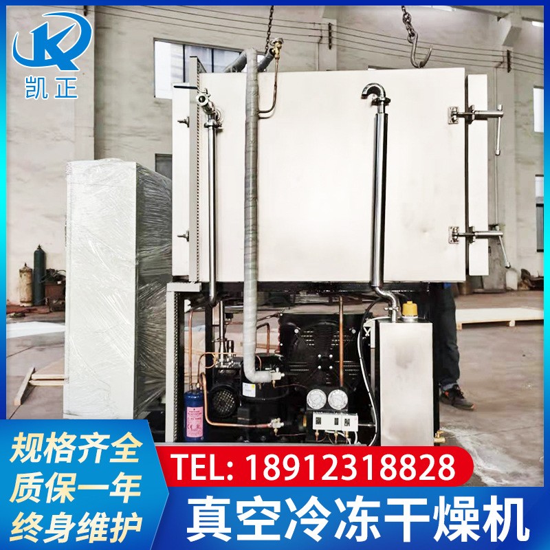 食品果蔬冻干机 自动水果片冷冻干燥机 低温真空冷冻干燥机图3