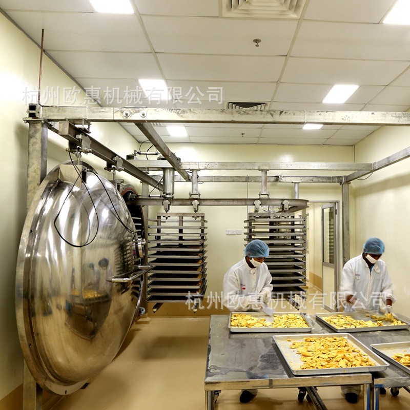 野菜黄花菜真空冻干机厂家直销 全自动5方荠菜低温真空冷冻干燥机图4