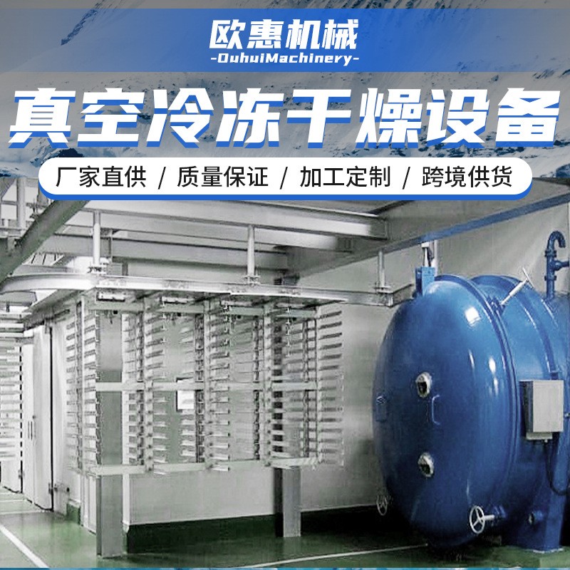 食材冻干机 食品冷冻真空银耳真空冷冻干燥 果蔬冻干设备长久保存