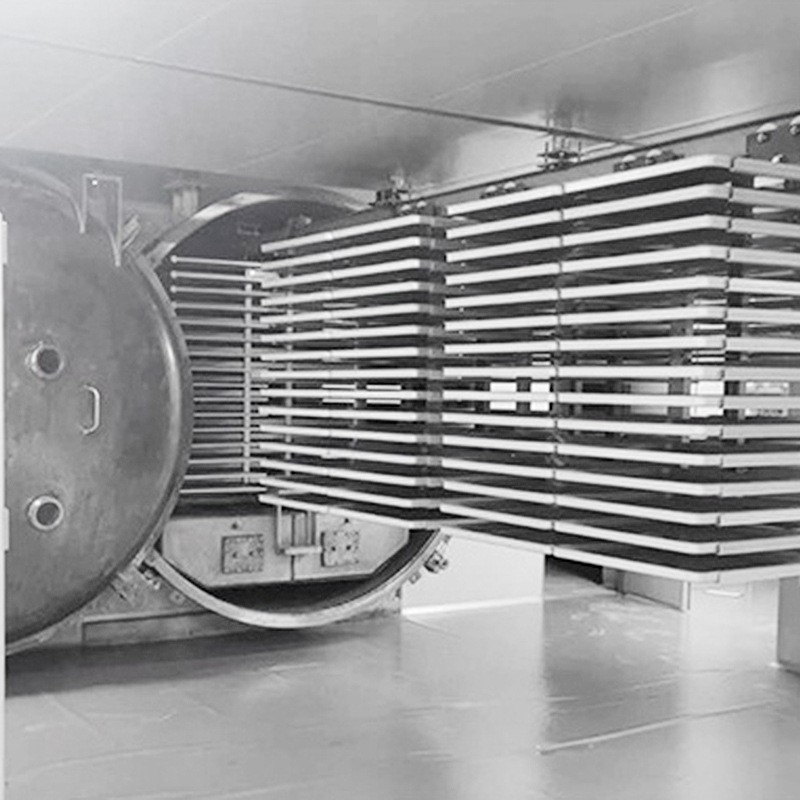食材冻干机 食品冷冻真空银耳真空冷冻干燥 果蔬冻干设备长久保存图4
