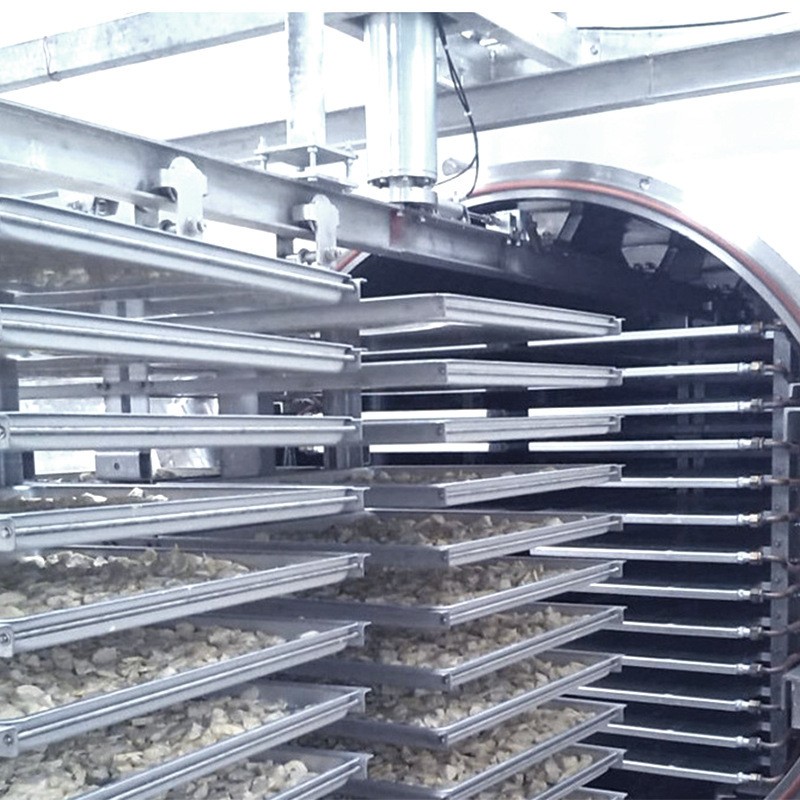 加工定制 水果蔬菜真空冻干机金银花冻干设备鱼类冷冻真空干燥机图4