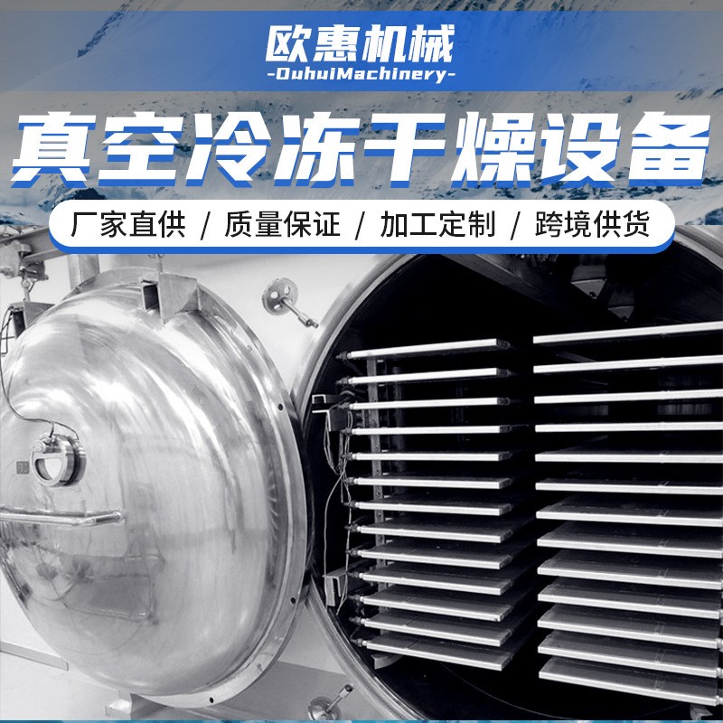 加工定制 水果蔬菜真空冻干机金银花冻干设备鱼类冷冻真空干燥机图2