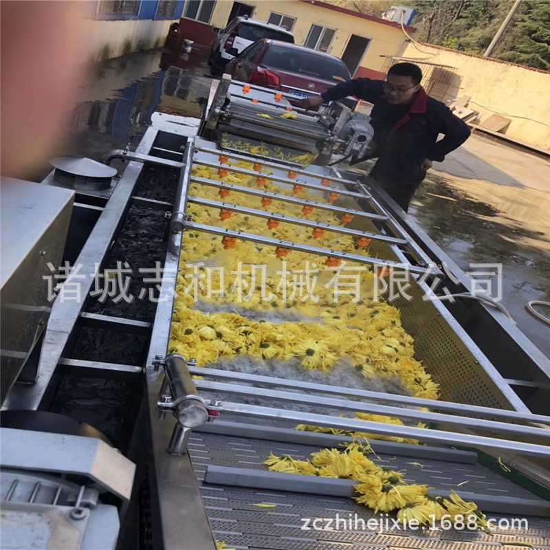 山东菠菜气泡清洗机 水果气泡清洗机高压喷淋 果蔬鼓泡清洗机图2