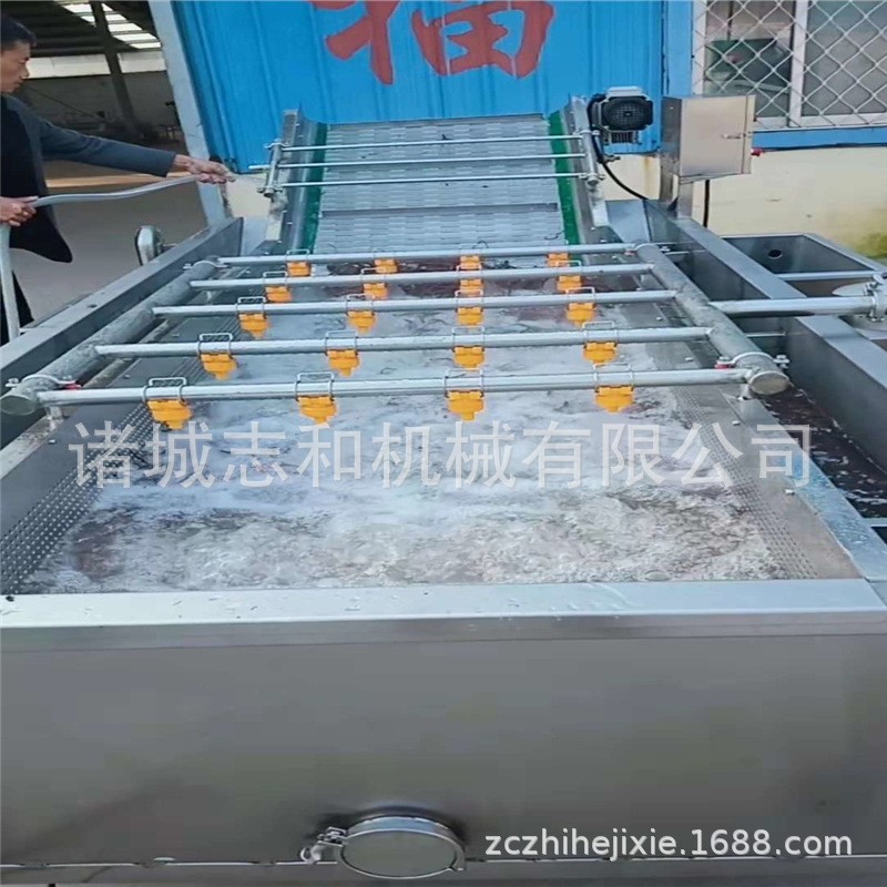 山东菠菜气泡清洗机 水果气泡清洗机高压喷淋 果蔬鼓泡清洗机图3