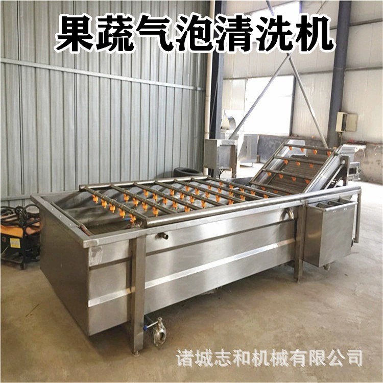 农副产品果蔬气泡清洗机 中药材喷淋清洗设备