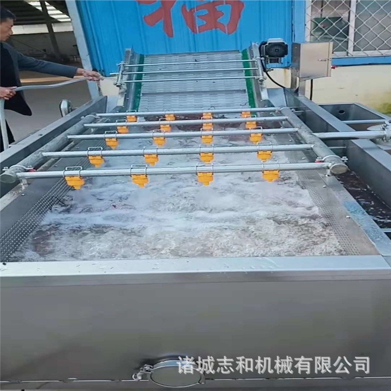 农副产品果蔬气泡清洗机 中药材喷淋清洗设备图3