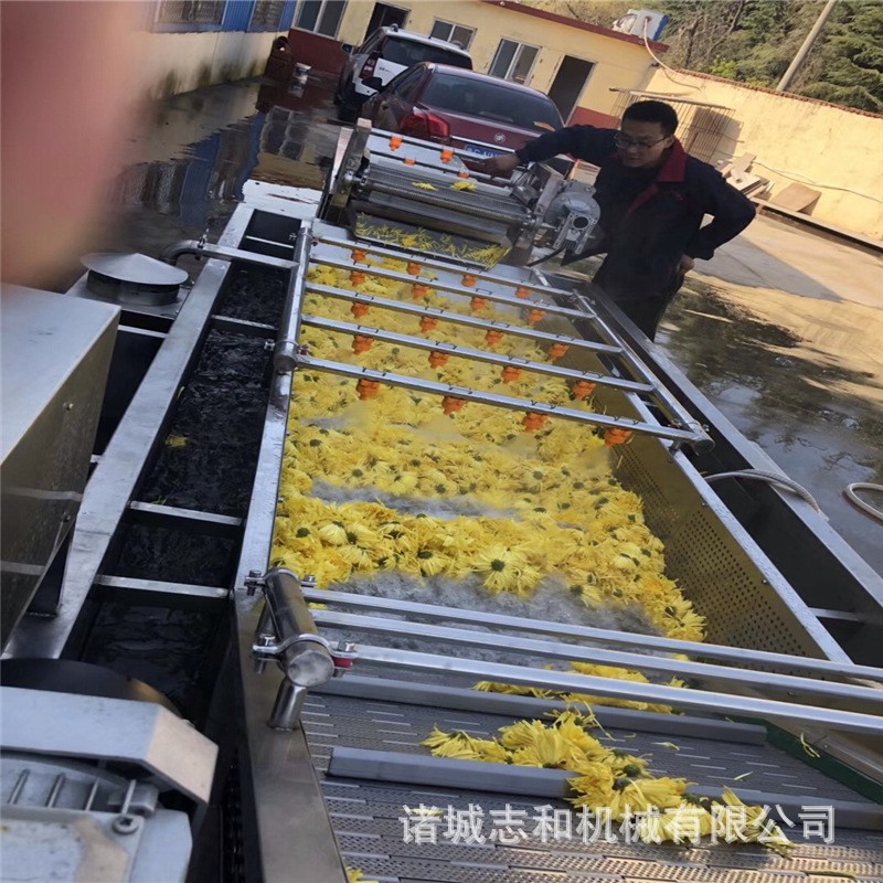 农副产品果蔬气泡清洗机 中药材喷淋清洗设备图4