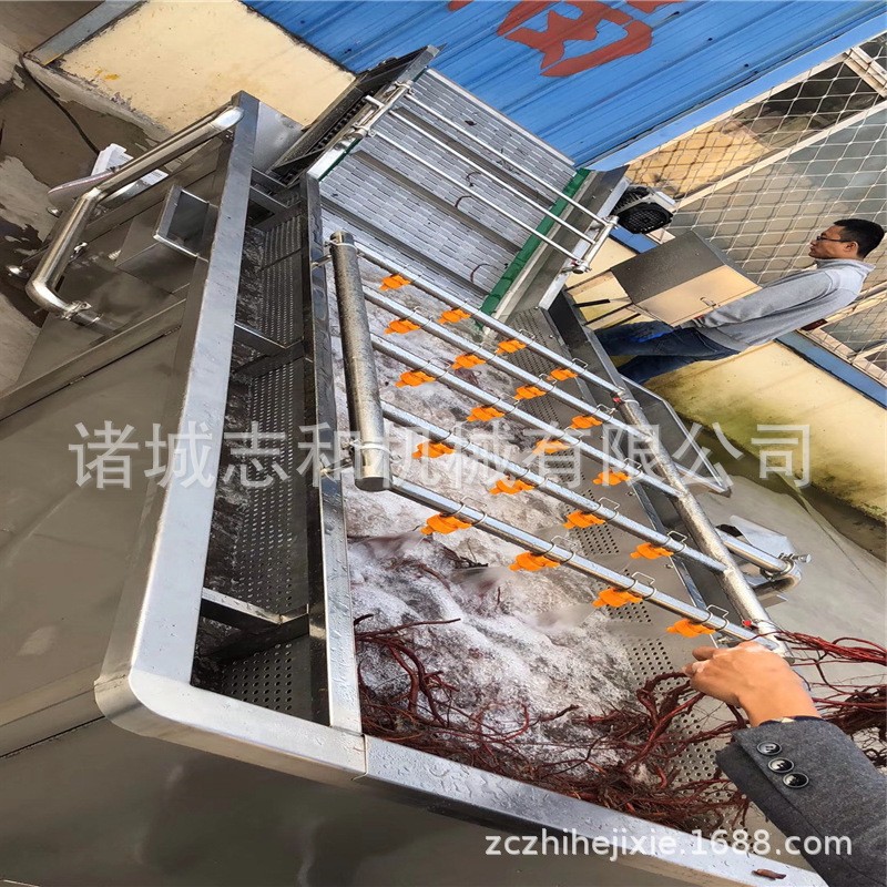 厂家直供翻浪清洗机 蔬菜水果气泡清洗机 中药材清洗设备图3