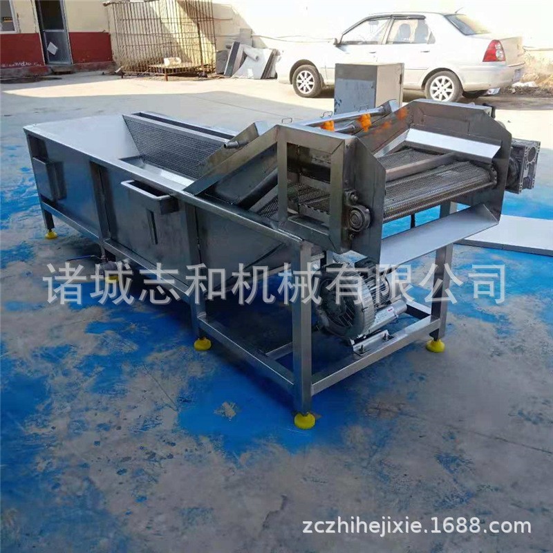厂家直供翻浪清洗机 蔬菜水果气泡清洗机 中药材清洗设备图4