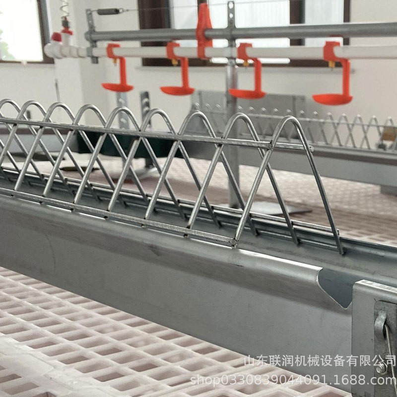 种鸡链式喂料系统 链式料线 链条 链式饲喂系统 厂家直销图4