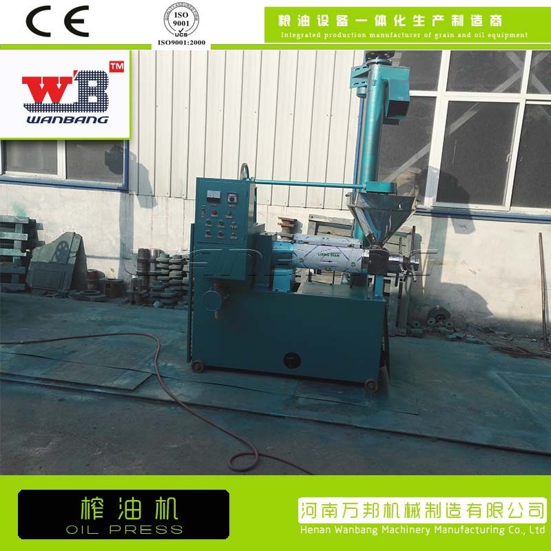 全自动80螺旋榨油机 文冠果油菜籽冷榨压油机 茶子芝麻挤油机图2