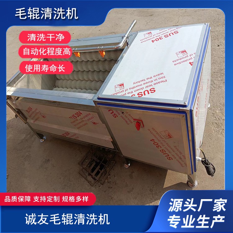 不锈钢全自动毛辊清洗机 萝卜红薯生姜去皮去泥清洗设备图4