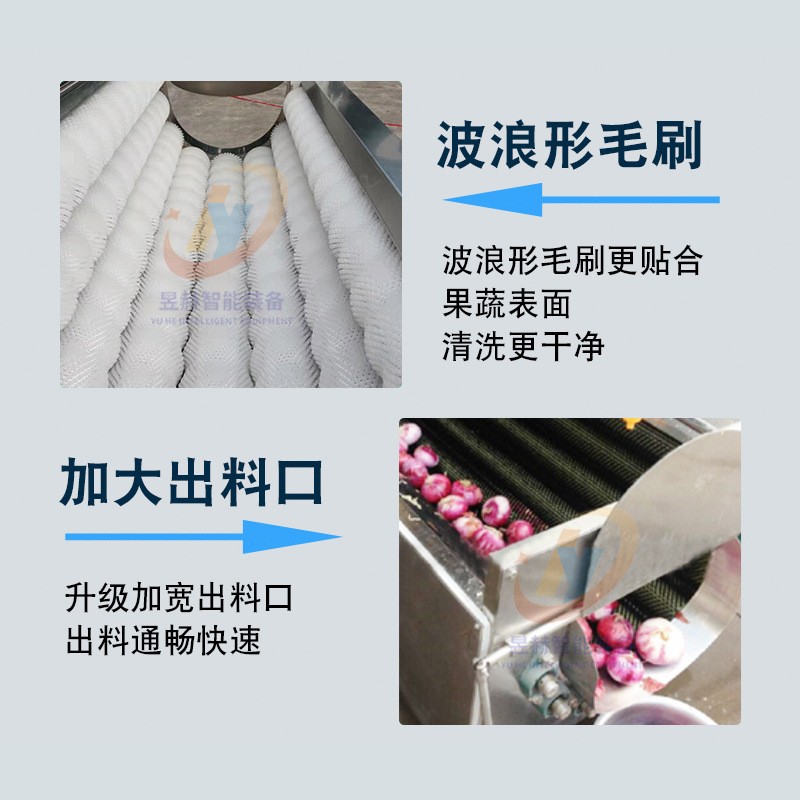 根茎果蔬毛辊清洗机 全自动土豆去皮清洗机 小龙虾去泥沙清洗机图4