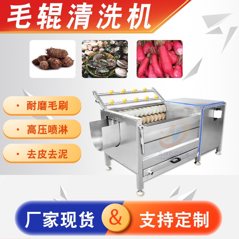 根茎果蔬毛辊清洗机 全自动土豆去皮清洗机 小龙虾去泥沙清洗机图5
